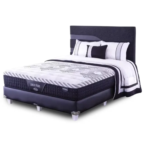 Lively Pedic
