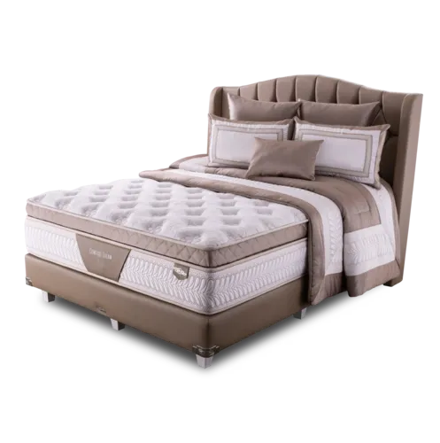 Comfort Dream
