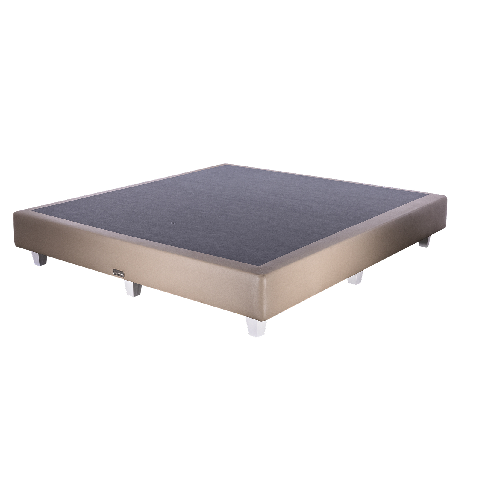 Pedic
