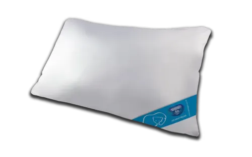 Softouch Pillow